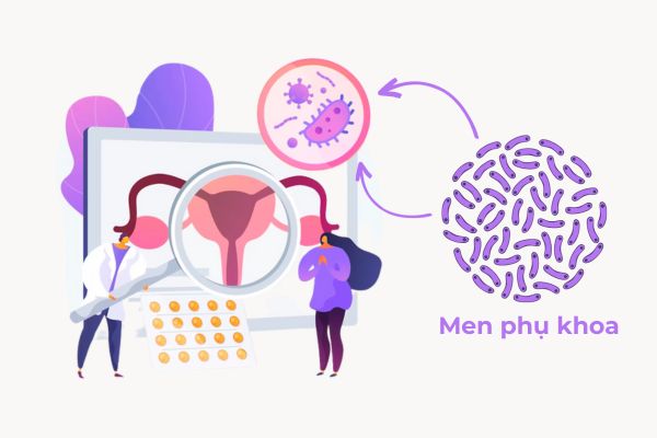 Men phụ khoa có thể hỗ trợ điều trị nhiễm khuẩn âm đạo