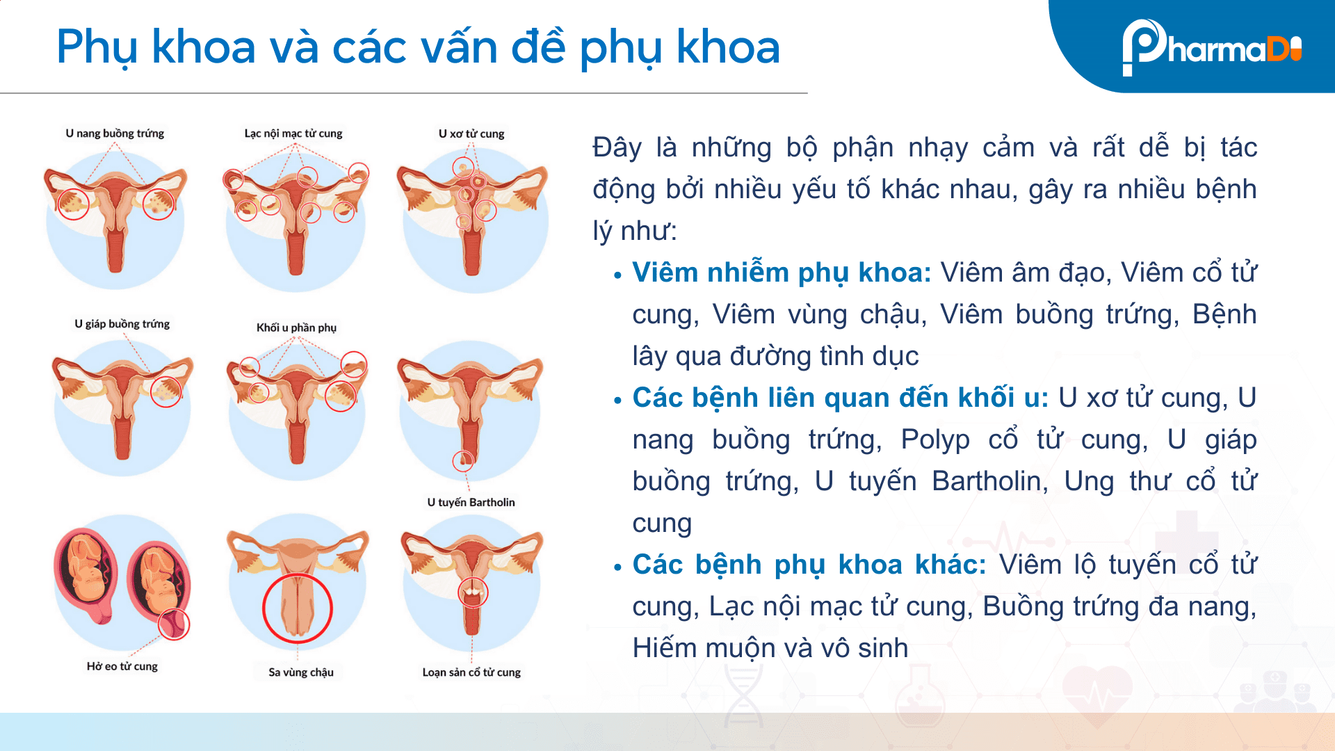 Phụ khoa và các vấn đề phụ khoa