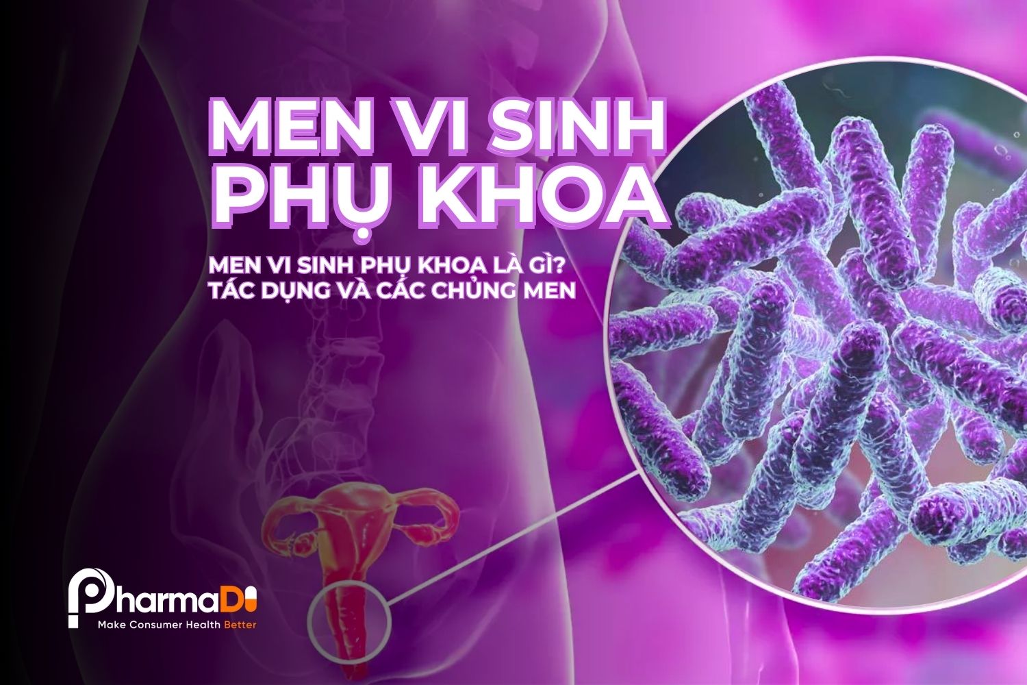 Men vi sinh phụ khoa là gì