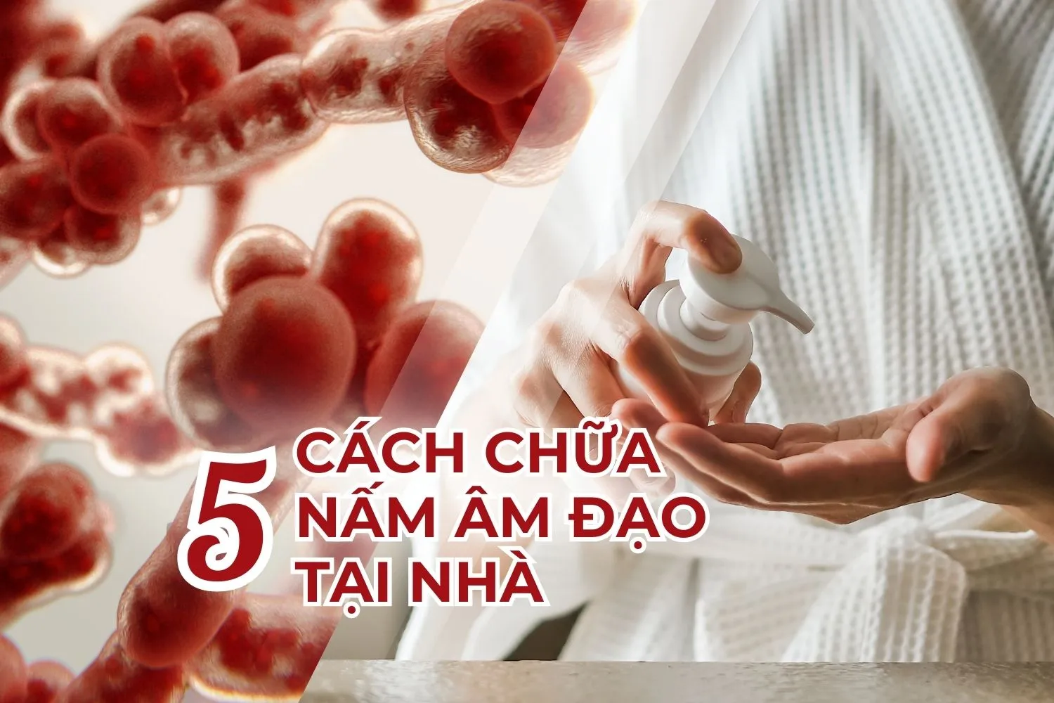 cach chua nam am dao
