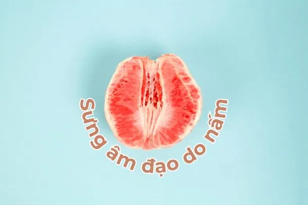 Âm đạo có thể bị sưng tấy, đỏ ửng khi nhiễm nấm