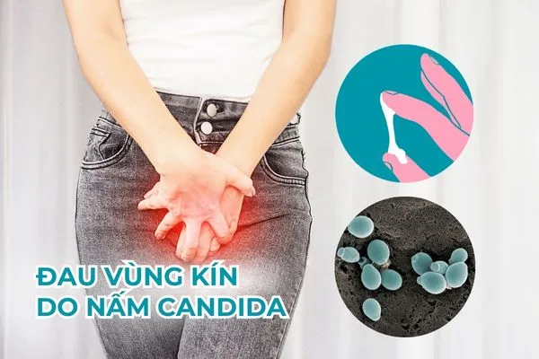 Vùng kín hoặc vùng lân cận có thể bị đau khi nhiễm nấm Candida