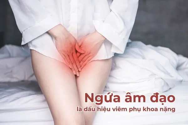 Ngứa âm đạo là dấu hiệu viêm phụ khoa nặng cực kỳ phổ biến