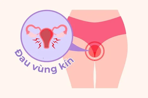 Đau vùng kín là tình trạng thường gặp trong nhiều bệnh phụ khoa