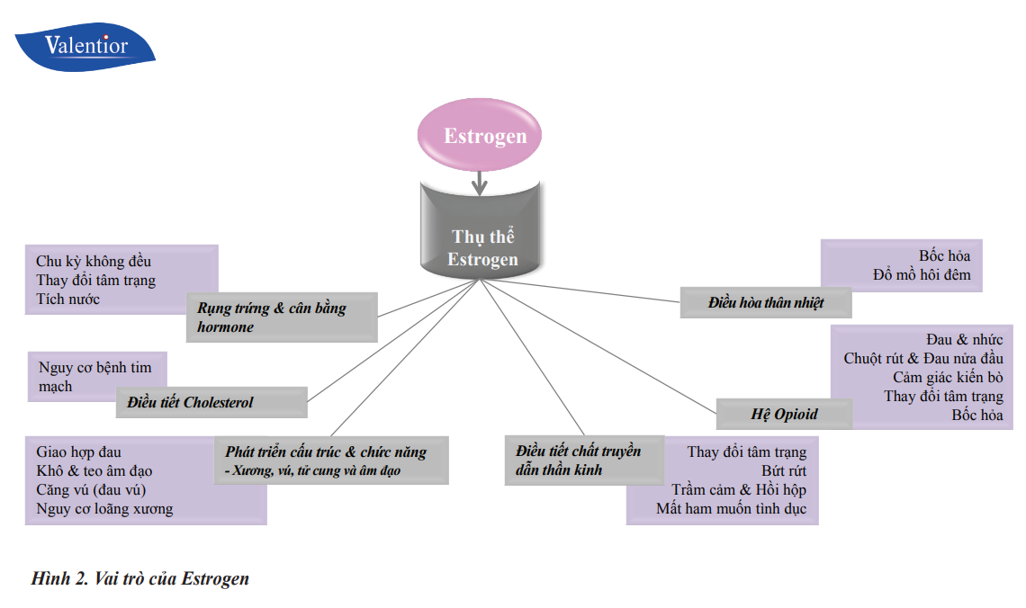 Estrosalus Lọ/30v Valentior Bổ Sung Nội Tiết Tố Nữ