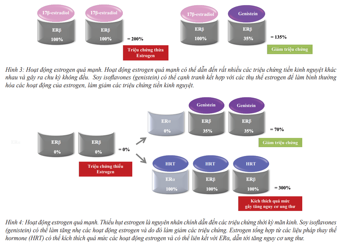 Estrosalus Lọ/30v Valentior Bổ Sung Nội Tiết Tố Nữ