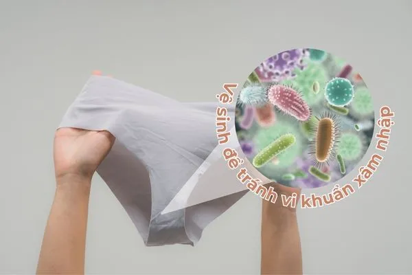 Có nhiều cách vệ sinh vùng kín đúng cách để phòng tránh vi khuẩn