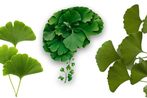 Ginkgo 2000, Lọ/100v Healthy Care Bạch Quả Tăng Cường Trí Nhớ Và Tập Trung