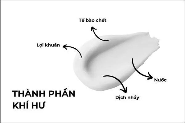 Khí hư là dịch tiết âm đạo chứa nước, chất nhầy, tế bào chết...