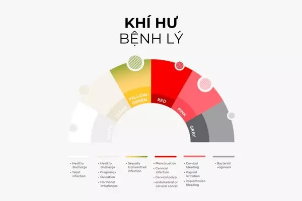 Các bệnh lý vùng kín có thể làm thay đổi tính chất của khí hư