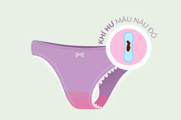 Những rối loạn liên quan đến kinh nguyệt thường khiến khí hư có màu nâu hoặc đỏ