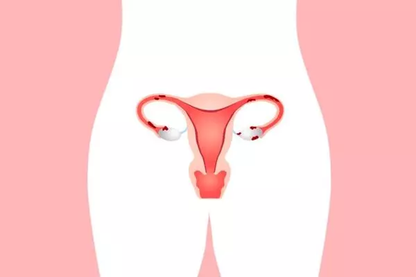 Khí hư đóng nhiều vai trò quan trọng đối với sức khỏe phụ khoa