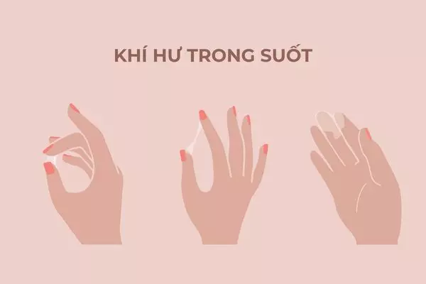Khí hư trong suốt thường thay đổi phụ thuộc vào hormone trong cơ thể