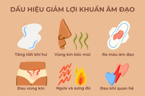 Một số dấu hiệu bạn đang bị giảm lợi khuẩn tại âm đạo