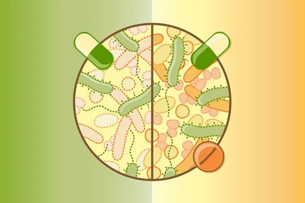 Thuốc kháng sinh có thể tiêu diệt cả những lợi khuẩn tại âm đạo