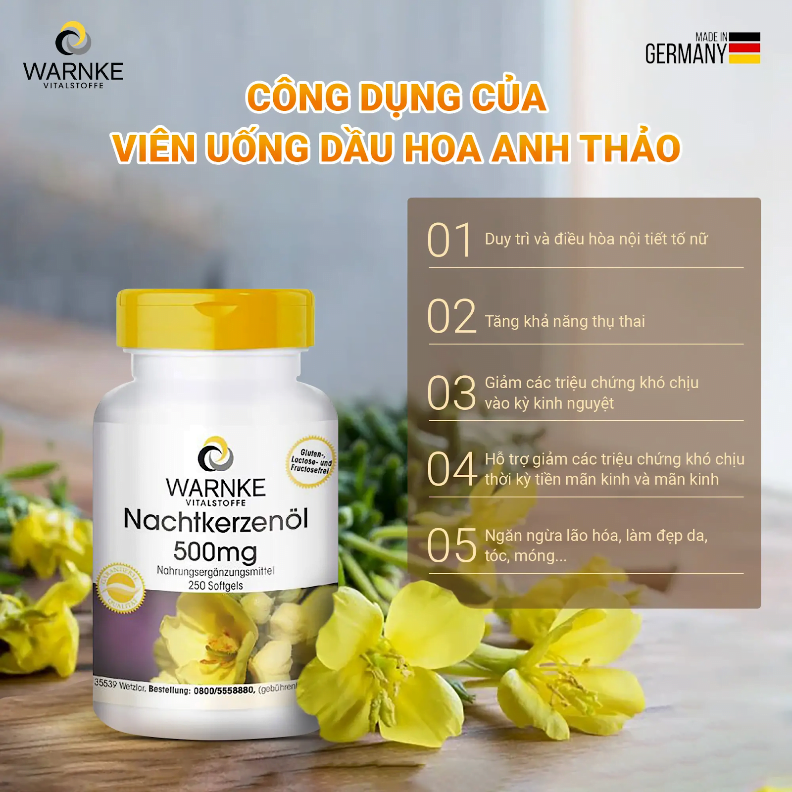 Natchtkezenol H/100v Warnke Hoa Anh Thảo Nội Tiết