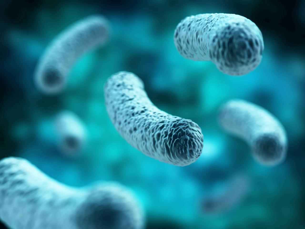 Lactobacillus Người Bạn Quan Trọng Của Sức Khỏe