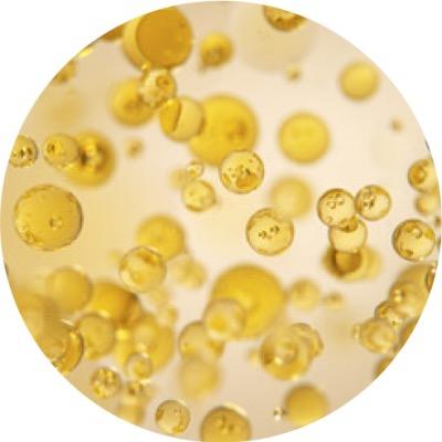 Tinh Dầu Hoa Anh Thảo Những điều Dược Sĩ Cần Biết