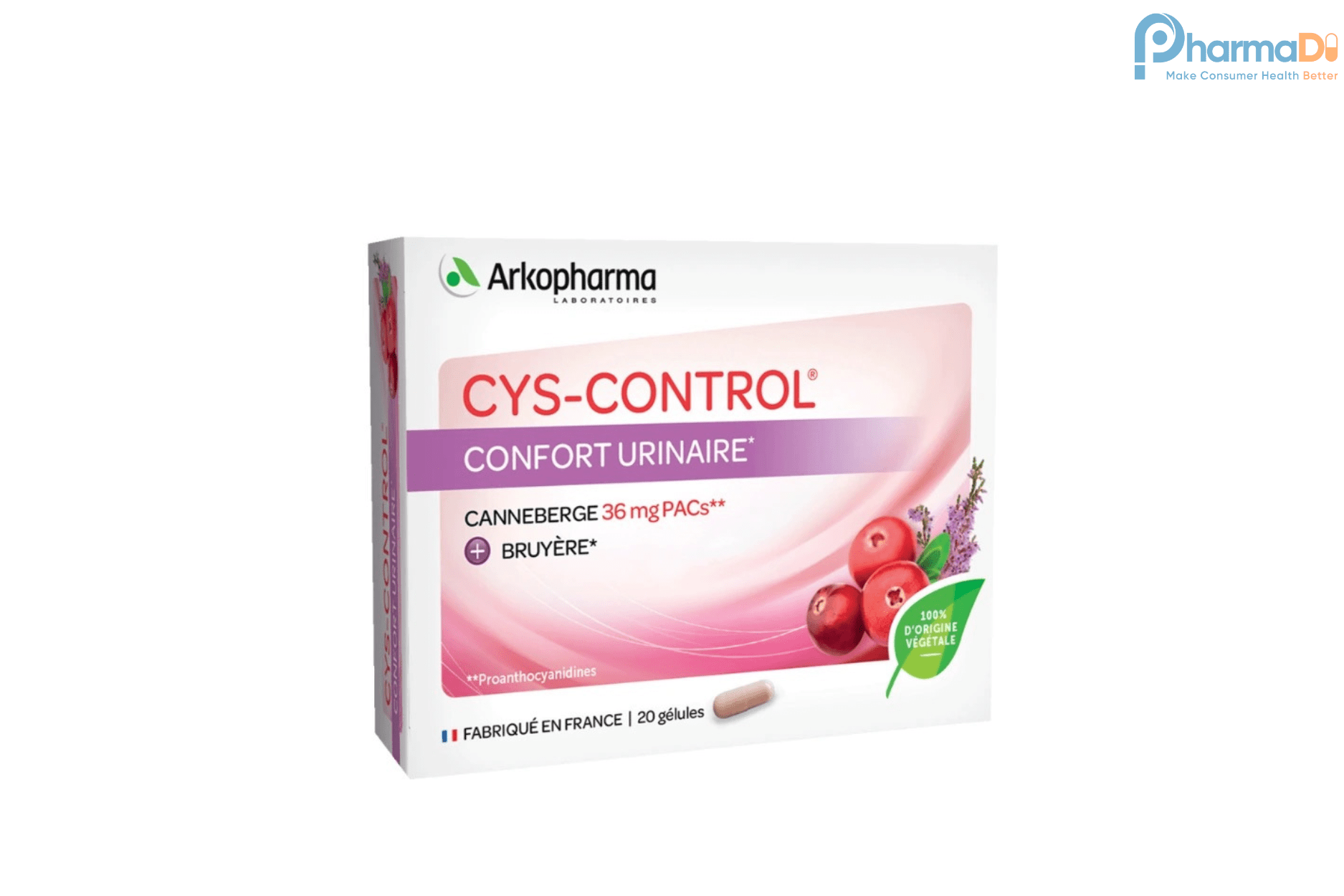 Nhiễm Khuẩn Tiết Niệu Và Những điều Lưu ý