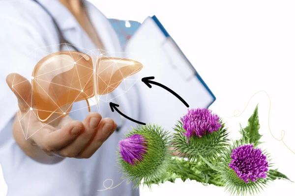 Milk Thistle L/240v WEBBER NATURALS Giải Độc, Bảo Vệ & Tăng Chức Năng Gan