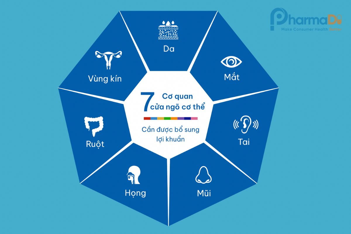 Livespo Thương Hiệu Bào Tử Lợi Khuẩn đầu Tiên Và Dẫn đầu Thị Trường Việt Nam