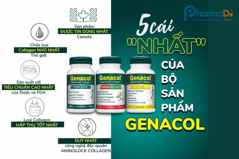Genacol Thực Phẩm Chức Năng Bảo Vệ Xương Khớp Hàng đầu Canada
