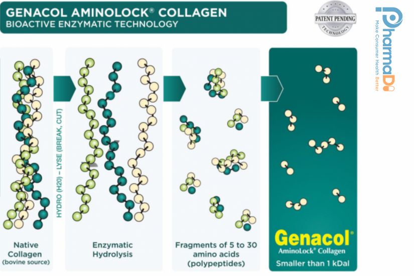 Genacol Thực Phẩm Chức Năng Bảo Vệ Xương Khớp Hàng đầu Canada