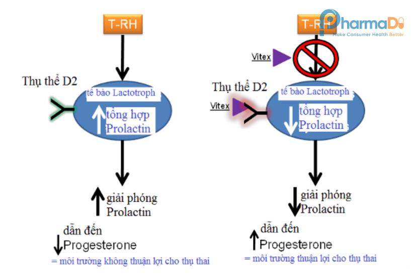 Max Biocare Thực Phẩm Chức Năng Úc Có Nguồn Gốc Thiên Nhiên