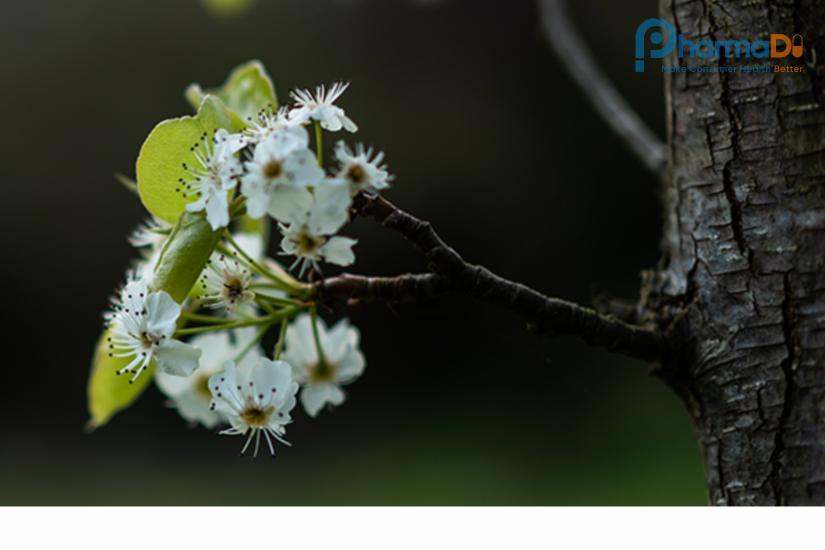 Max Biocare Thực Phẩm Chức Năng Úc Có Nguồn Gốc Thiên Nhiên