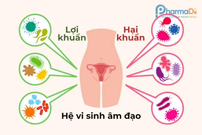 Neubria Thực Phẩm Chức Năng Anh Quốc Với Công Nghệ Synology độc Quyền