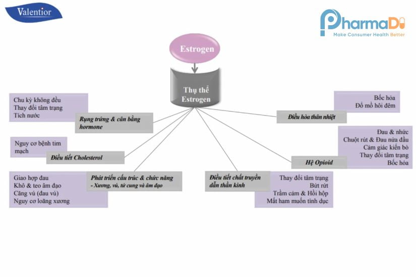 Valentior Thương Hiệu Dược Phẩm Và Thực Phẩm Chức Năng Úc