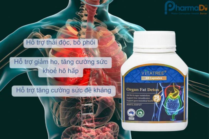 Vitatree Món Quà Sức Khoẻ Từ Thương Hiệu Thực Phẩm Chức Năng Úc