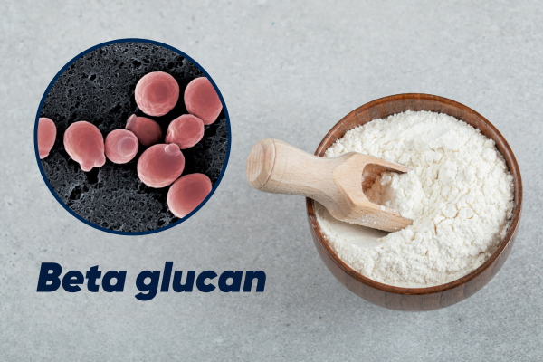 Beta-glucan hoạt chất vàng giúp tăng đề kháng