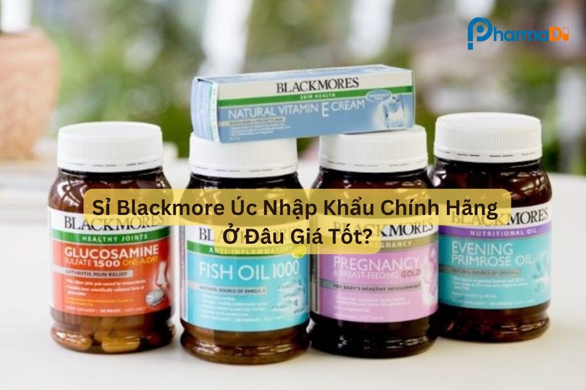 Sỉ Blackmore Úc nhập khẩu chính hãng ở đâu giá tốt?