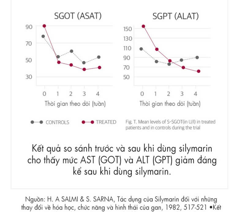 Premium Liver Health Milk Thistle H/30V NUTRI D-DAY giúp bổ gan, thải độc