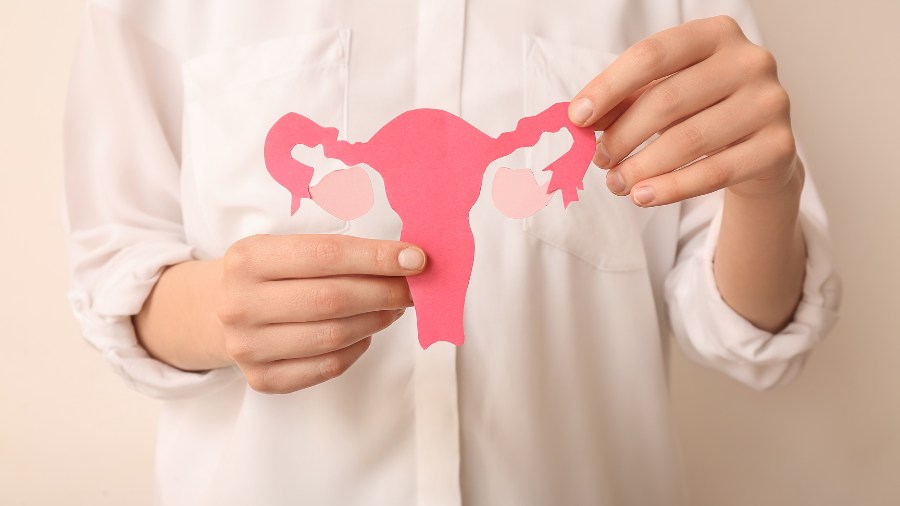 NỘI TIẾT TỐ NỮ LÀ GÌ? CÓ TÁC DỤNG NHƯ THẾ NÀO ĐỐI VỚI PHỤ NỮ?