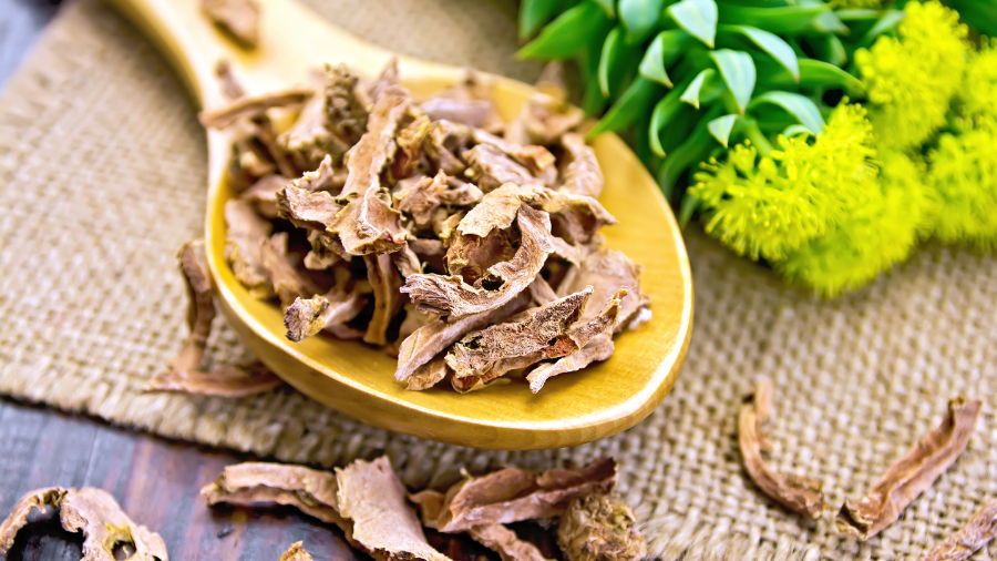 Rhodiola là loài cây này sở hữu khả năng chống viêm đáng kể
