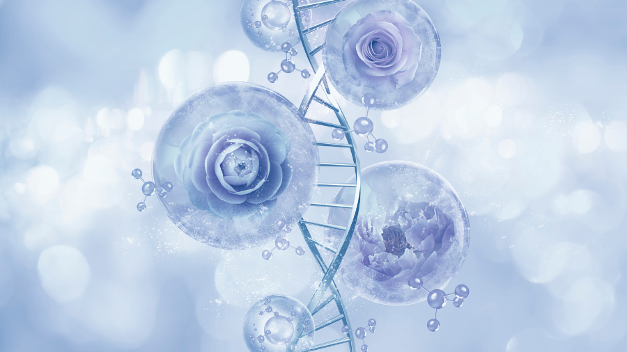 Cơ chế làm trắng da của Glutathione là quá trình liên quan đến điều chỉnh sản xuất melanin