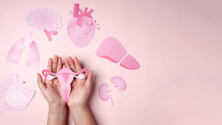 Nội tiết tố nữ đóng vai trò quan trọng trong việc điều hòa nhiều chức năng sinh lý