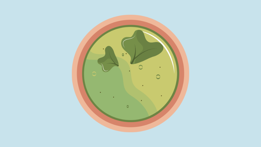 Rau chân vịt giàu magie, giúp giãn mạch máu, tăng lưu thông máu đến cơ quan sinh dục