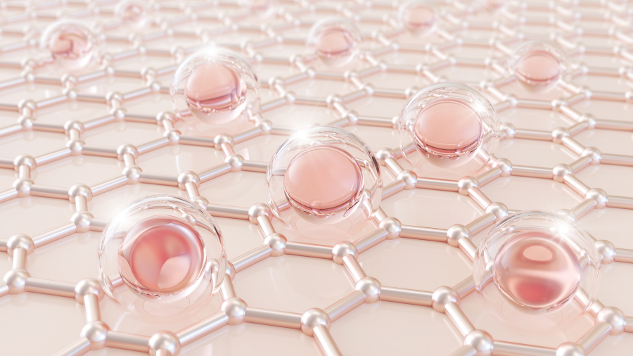 Collagen từ lâu đã được biết đến với vai trò quan trọng trong việc duy trì vẻ đẹp làn da