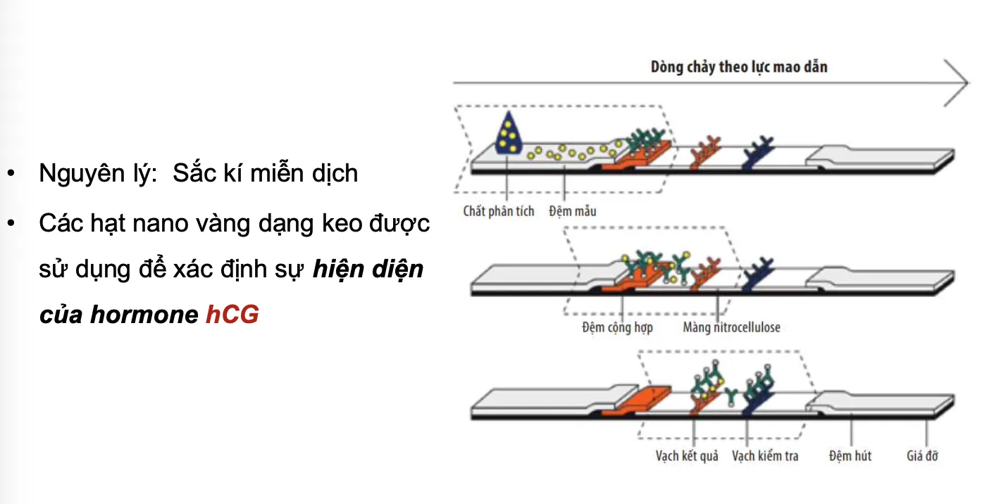 Bút thử thai One Moment H/2 cái DIAGNOSIS F (DFU) giúp phát hiện mang thai