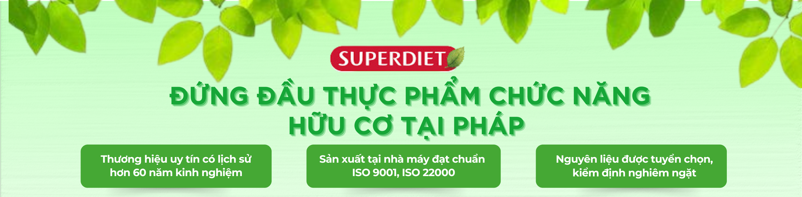 Drainaflore Detox H/20 Ống SUPERDIET Hỗ trợ thải độc nội tạng và thanh lọc cơ thể