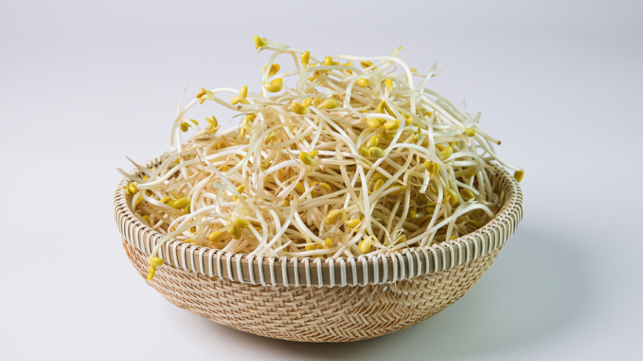 Với hàm lượng chất xơ và vitamin dồi dào, giá đỗ giúp cơ thể đào thải cholesterol xấu