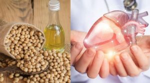 Lecithin bổ gan – bảo vệ và tái tạo tế bào gan