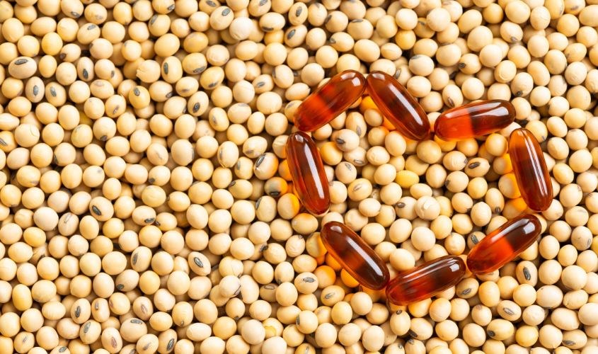 Tác dụng của Lecithin với sức khoẻ: hỗ trợ gan, tim mạch, tiêu hoá