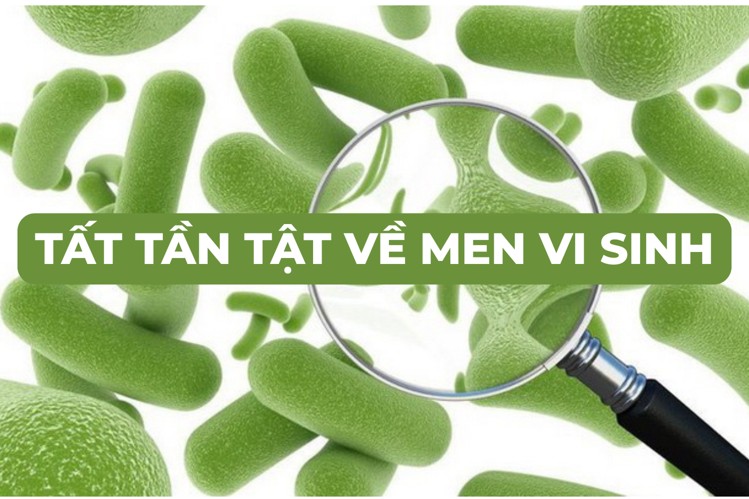 Tài liệu chuyên môn: Tất tần tật về men vi sinh