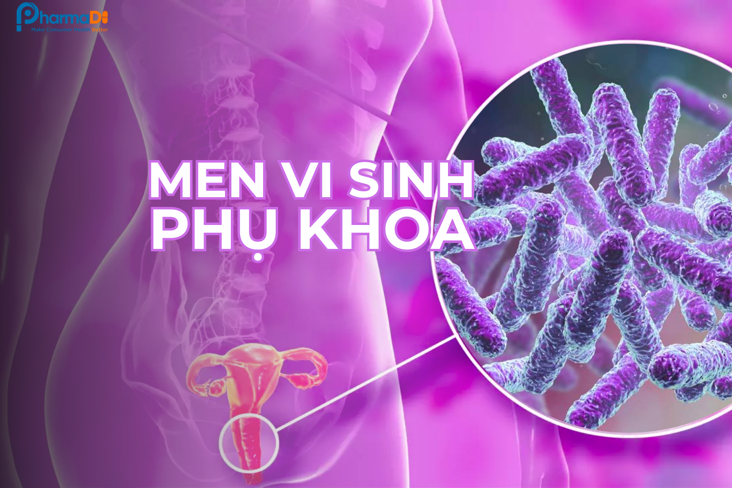 Tài liệu chuyên môn: Tất tần tật về men vi sinh phụ khoa