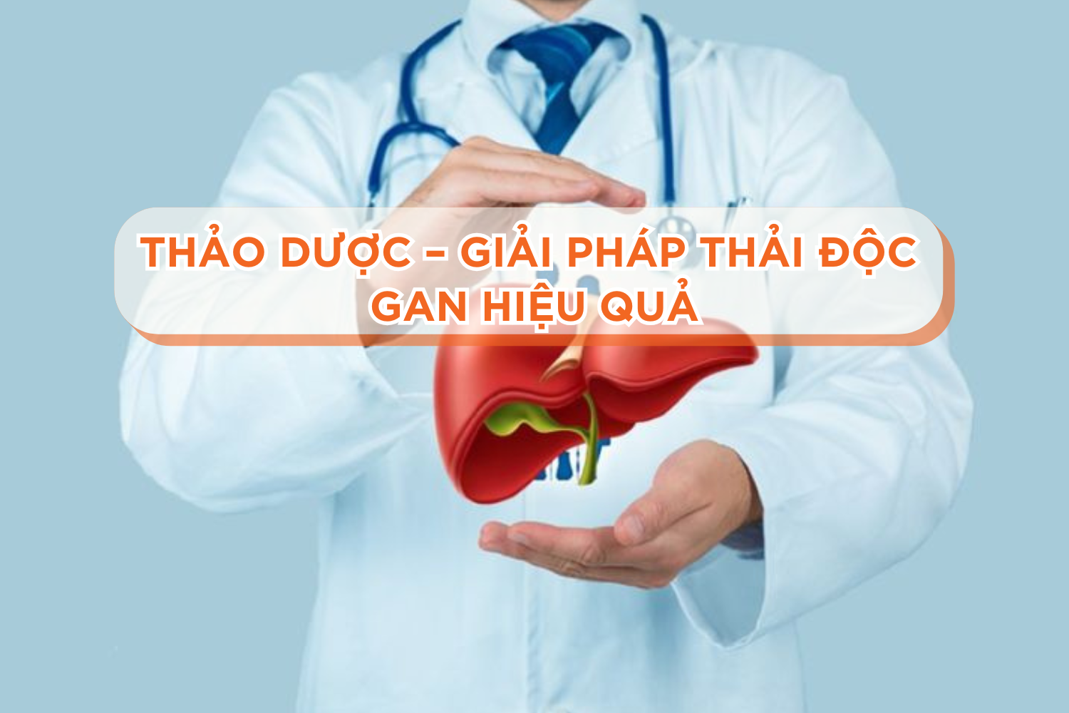 Thảo dược – Giải pháp tự nhiên thải độc gan hiệu quả