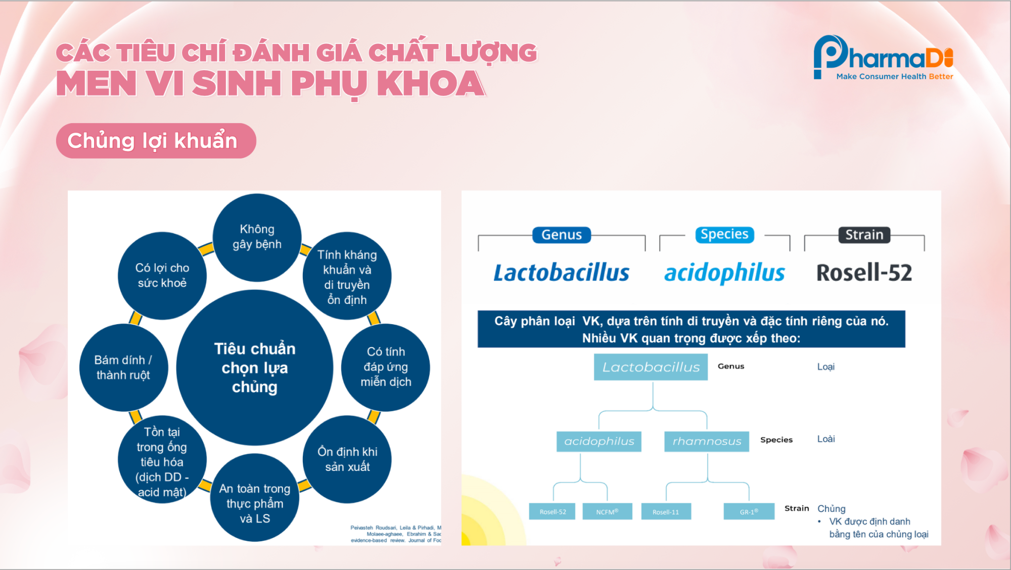 Tài liệu training chuyên môn: Men vi sinh phụ khoa – chìa khoá cho vùng kín sạch khoẻ, tự tin